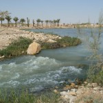 Riyadh river 2