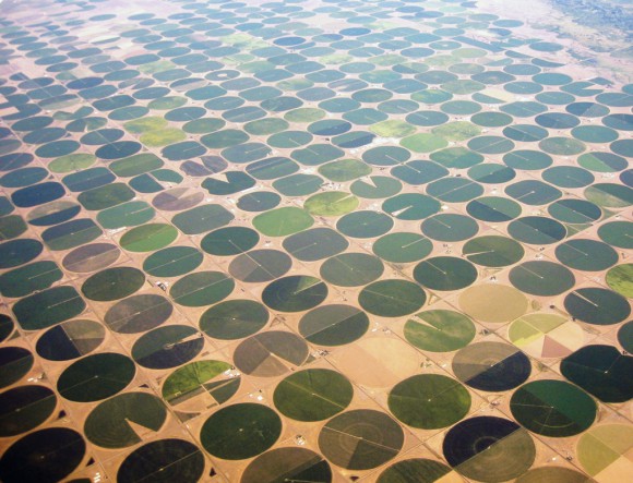 Valley-crop-circles