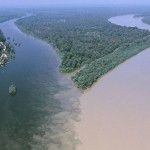 Confluencia de rios_Drava y Danubio2