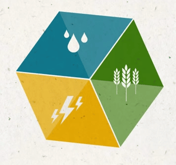 Cómo se conecta el trinomio agua, energía y alimentos
